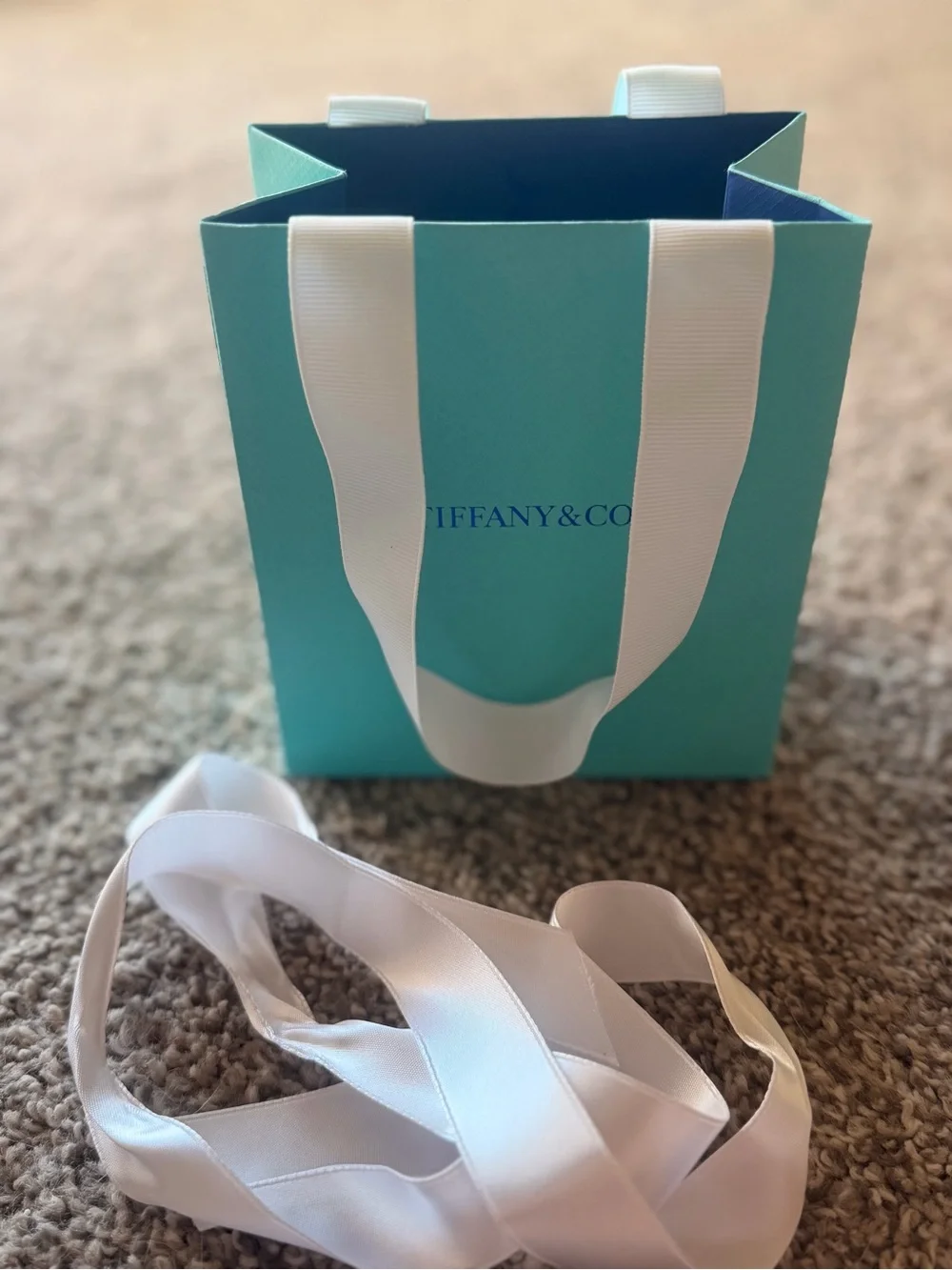 Authentic Tiffany & Co. Robin's-Egg Blue Gift Bag with White Ribbon Handles